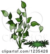 Clipart Of A Green Plant 3 Royalty Free Vector Illustration
