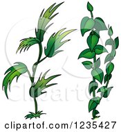 Clipart Of Green Plants Royalty Free Vector Illustration