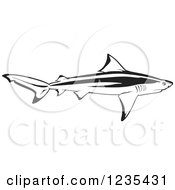 Poster, Art Print Of Black And White Bull Shark