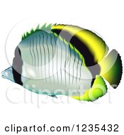 Poster, Art Print Of Lined Butterflyfish