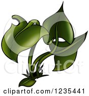 Clipart Of A Green Plant 2 Royalty Free Vector Illustration