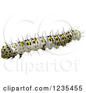 Clipart Of A Mullein Moth Caterpillar Royalty Free Vector Illustration by dero