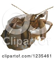 Clipart Of A Red Reef Hermit Crab Royalty Free Vector Illustration
