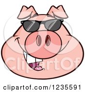 Poster, Art Print Of Smiling Pig Head With Sunglasses