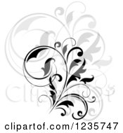 Clipart Of A Black Flourish With A Shadow 14 Royalty Free Vector Illustration