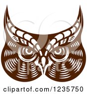 Poster, Art Print Of Brown Owl Face