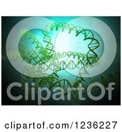 Clipart Of A 3d Green DNA Strand Over Blue Light Royalty Free CGI Illustration