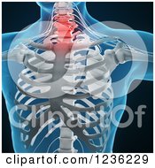 Clipart Of A 3d Human Skeleton And Central Nervous System On Black Royalty Free CGI Illustration