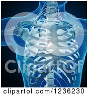Clipart Of A 3d Human Skeleton And Central Nervous System Over Black Royalty Free CGI Illustration