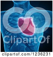 Clipart Of A 3d Human Body And Heart Royalty Free CGI Illustration by Mopic