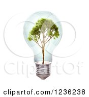Poster, Art Print Of 3d Tree In A Light Bulb Over White