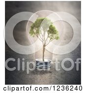 Poster, Art Print Of 3d Tree In A Light Bulb