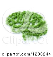 Poster, Art Print Of 3d Grassy Brain Patch On White