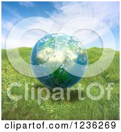Poster, Art Print Of 3d African Globe Floating Over Grass
