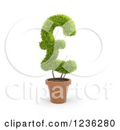 Poster, Art Print Of 3d Pound Currency Symbol Plant In A Terra Cotta Pot