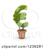 Poster, Art Print Of 3d Euro Currency Symbol Plant In A Terra Cotta Pot