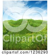 Poster, Art Print Of 3d Meadow With Grass And Wildflowers