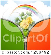 Green And Orange Zipper Background Over Sky With A Rainbow And Roses
