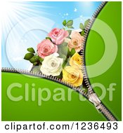 Green Zipper Background Over Blue Sky With Roses