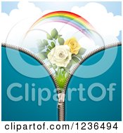 Poster, Art Print Of Blue Zipper Background Over A Sky With A Rainbow And Roses