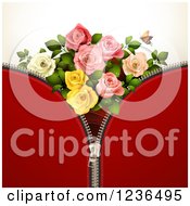 Poster, Art Print Of Red Zipper Background With Roses And A Butterfly