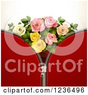 Poster, Art Print Of Red Zipper Background With Roses