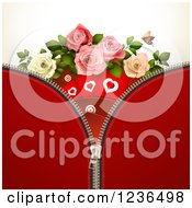 Zipper Background Of Red With Hearts And Roses