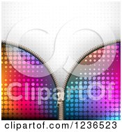 Colorful Zipper Background Over Gray Halftone 2