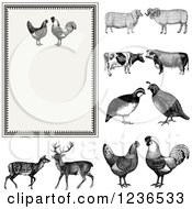 Poster, Art Print Of Vintage Invitation With A Rooster Pair On Beige And Other Animals