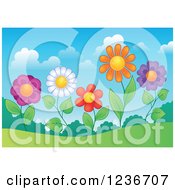 Poster, Art Print Of Colorful Daisy Flowers On A Hill
