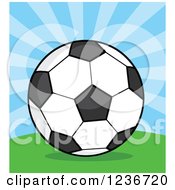 Poster, Art Print Of Cartoon Soccer Ball Over Rays