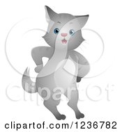 Poster, Art Print Of Cute Gray Cat Standing With Its Paws On Its Hips