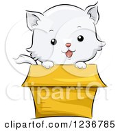 Poster, Art Print Of Cute White Kitten Peeking Out From A Box
