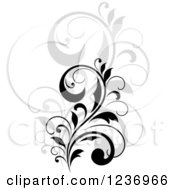 Clipart Of A Black Flourish With A Shadow 15 Royalty Free Vector Illustration