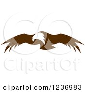 Poster, Art Print Of Flying Brown Bald Eagle 2