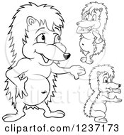 Clipart Of Outlined Hedgehogs Royalty Free Vector Illustration