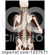 Clipart Of A 3d Running Medical Female Model With Visible Skeleton Torso View Royalty Free CGI Illustration