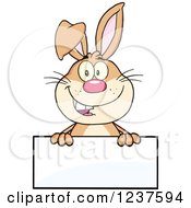 Poster, Art Print Of Happy Brown Rabbit Over A Blank Sign