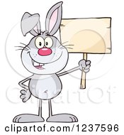 Happy Gray Rabbit Holding A Wooden Sign