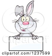 Poster, Art Print Of Happy Gray Rabbit Over A Blank Sign