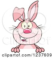 Clipart Of A Happy Pink Rabbit Over A Sign Royalty Free Vector Illustration