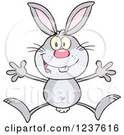 Clipart Of A Happy Gray Rabbit Jumping Royalty Free Vector Illustration