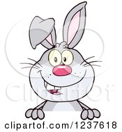 Clipart Of A Happy Gray Rabbit Over A Sign Royalty Free Vector Illustration