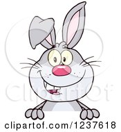 Poster, Art Print Of Happy Gray Rabbit Over A Sign