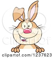 Clipart Of A Happy Brown Rabbit Over A Sign Royalty Free Vector Illustration