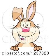 Poster, Art Print Of Happy Brown Rabbit Over A Sign