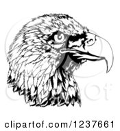 Poster, Art Print Of Black And White Bald Eagle Head In Profile