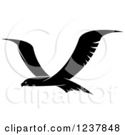Poster, Art Print Of Black And White Eagle In Flight 2