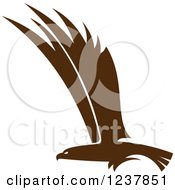 Poster, Art Print Of Brown Eagle In Flight