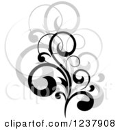 Poster, Art Print Of Black Flourish With A Shadow 16